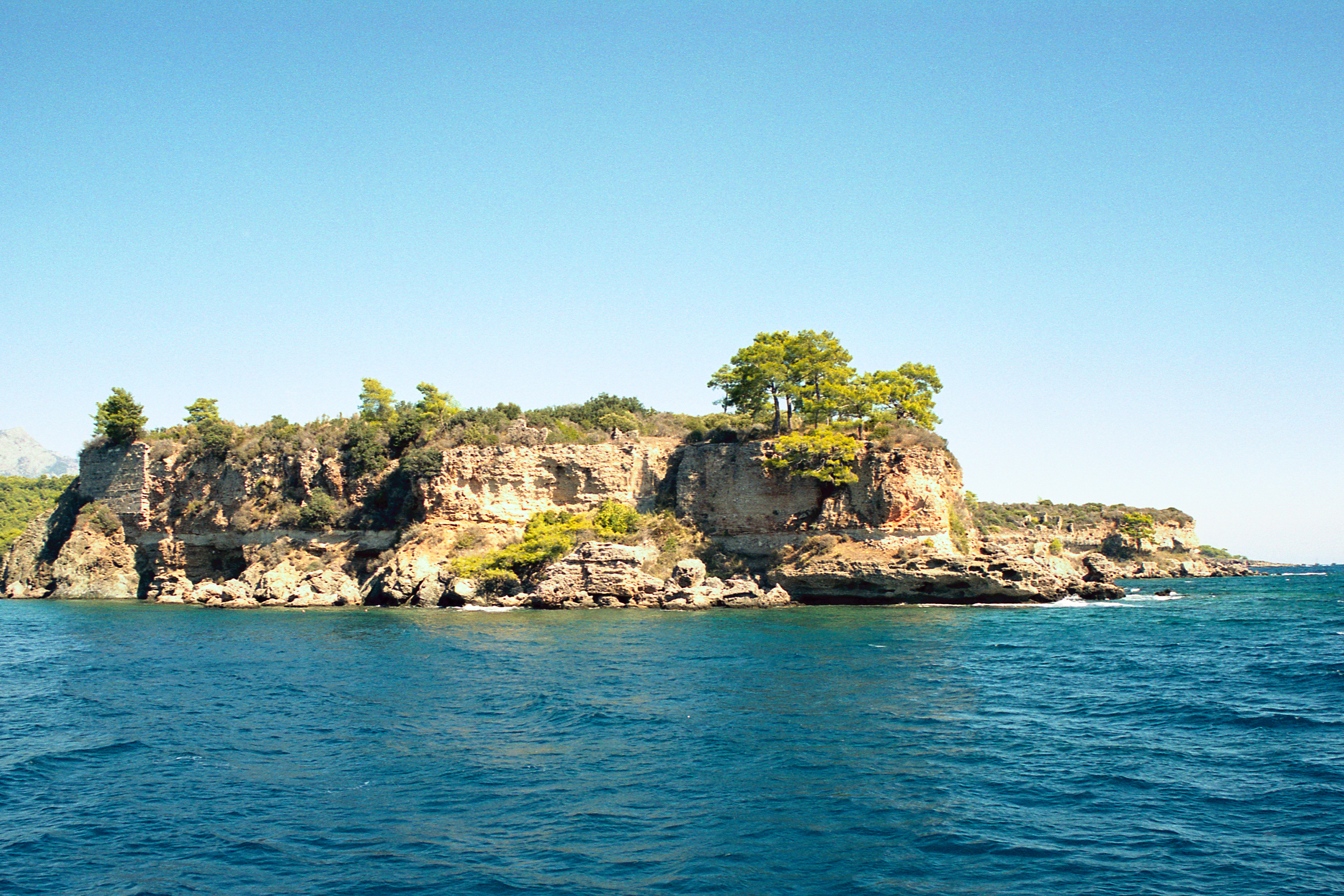 Facilitator Profile Picture